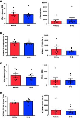 Senolytic treatment with dasatinib and quercetin does not improve overall influenza responses in aged mice